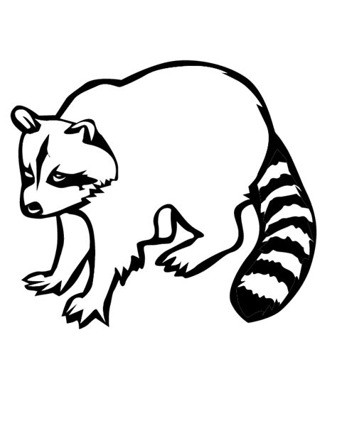 Raccoon Pictures To Print Coloring Home