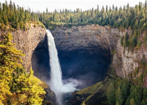 The Disturbing Story Of David Shearing And The Wells Gray Park Camping