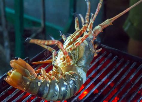 Lobster Seafood In Bbq Flames Stock Image Image Of Fume Coal 55937889
