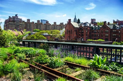 A Guide To The High Line In New York City Go City