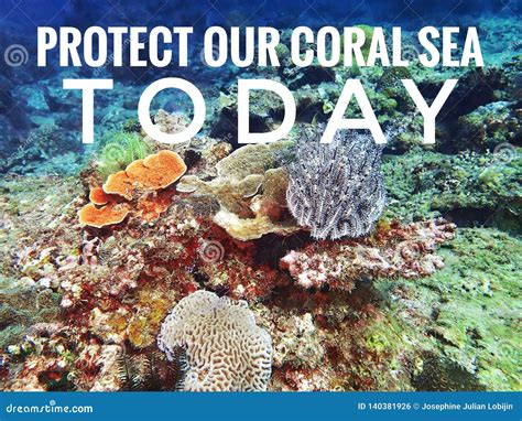 Protect Our Coral Reefs Today Design For Awareness The Importance Of