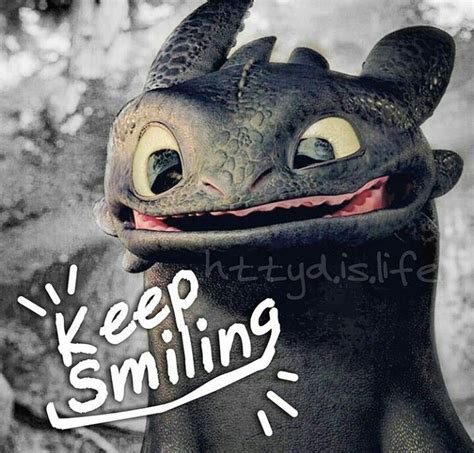 Keep Smiling Toothless From How To Train Your Dragon How Train Your