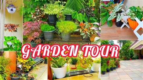 Rose plant growing tips malayalam | rose gardening at home in malayalam. Outdoor & Indoor GARDEN TOUR malayalam//GARDENING IDEAS ...