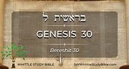 Genesis 30 (Bereshit) - Whittle Study Bible