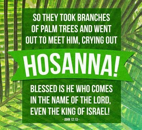 Biblical Quotes About Palm Sunday Quotestoday