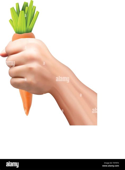 Holding Carrot In Hand Stock Vector Images Alamy