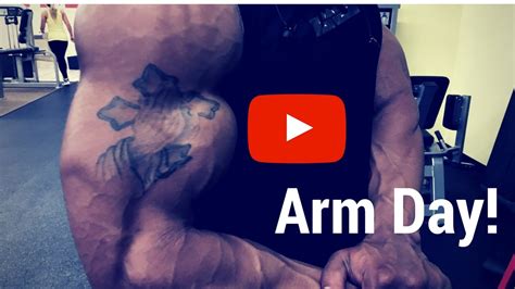 Arm Day And Quick Physique Update Youtube