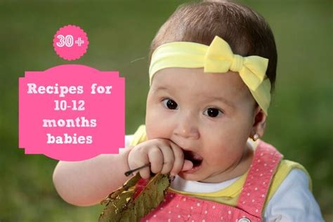 You don't have to be a pro in the kitchen to create fresh, healthy purees for your baby. Recipes for 10 to 12 months old babies