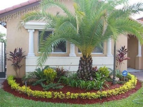 Florida Landscaping With Palm Trees Ideas Florida Landscaping Palm