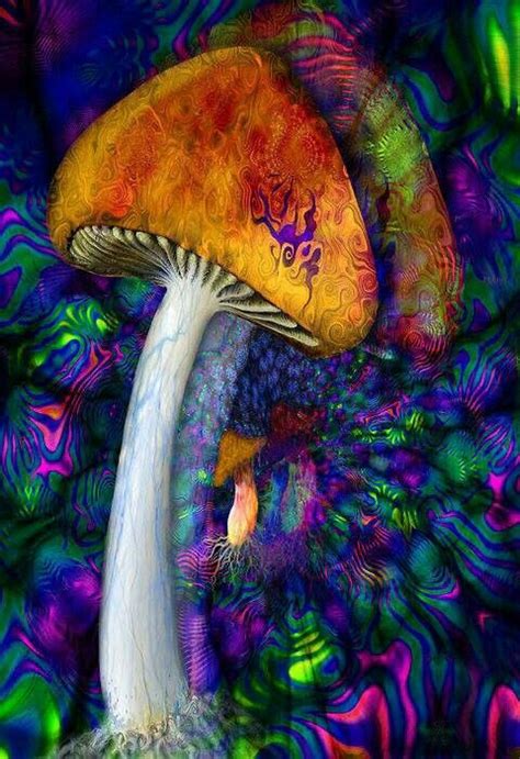38 Best Shrooms Images On Pinterest Fungi Mushrooms And Psychedelic Art