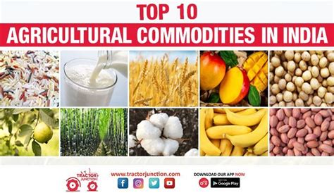 Daily prices of agricultural commodities daily prices of agricultural commodities. Top 10 Agricultural Commodities in India - List of Agro ...