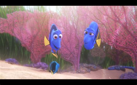 Finding Dory Meet Baby Dory