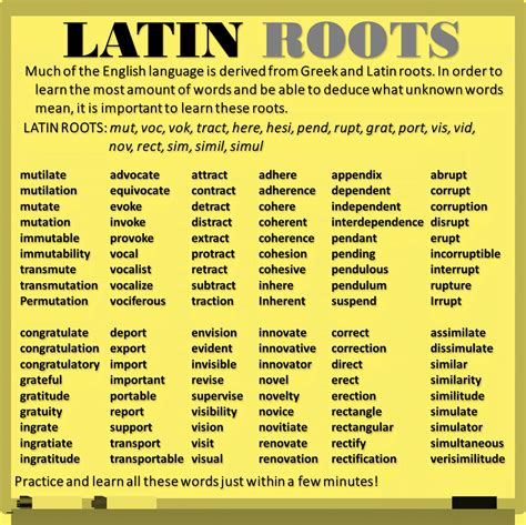 Latin Root Word See The Youtube Link As The Comment Renglish