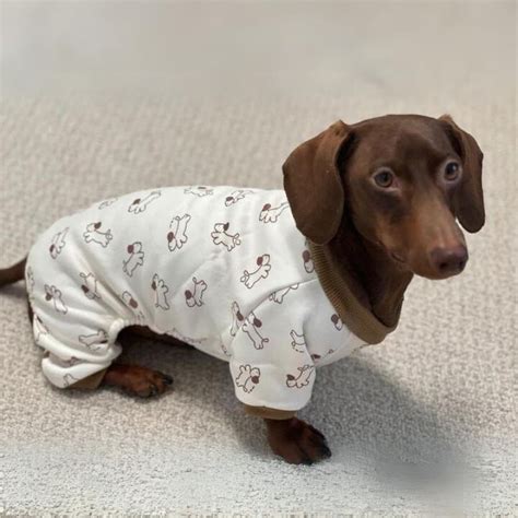 Little Dachshunds Pajama Cozy Fleece Sausage Dog Wear
