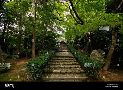 Stairway Through The Japanese Garden Of The Ryoan Ji Temple Kyoto