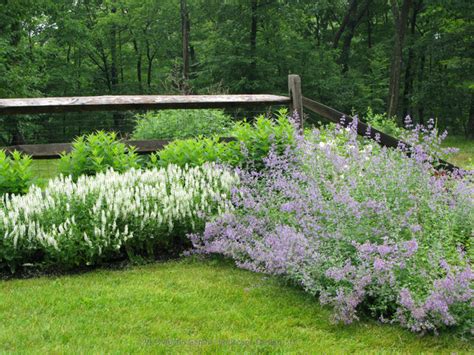 46 gorgeous farmhouse landscaping front yard ideas. Country Garden - Farmhouse - Landscape - Bridgeport - by ...