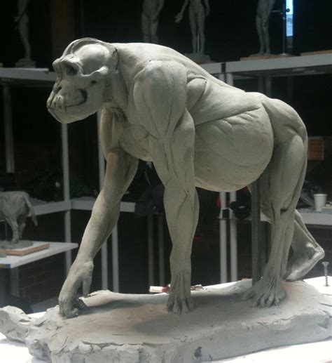 95 best images about GORILLA ANATOMY on Pinterest | Silverback gorilla