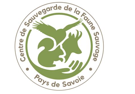 Centre De Sauvegarde De La Faune Sauvage En Pays De Savoie La