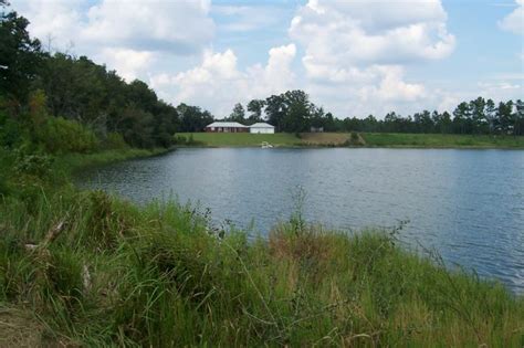 5 homes for sale or rent in grant meadows. Grand Bay Alabama Land for Sale Lake with Home