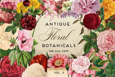 Antique Botanical Floral Graphics Pre Designed Photoshop Graphics