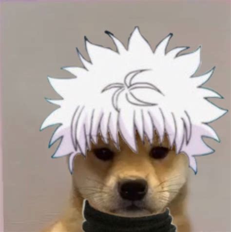Pin By Lieileen On Killua Dog Icon Anime Funny Funny Anime Pics