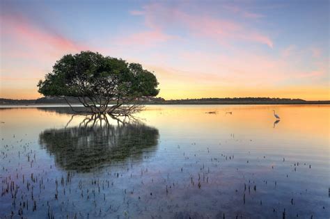 Wetlands Have Saved Australia 27 Billion In Storm Damage Over The Last