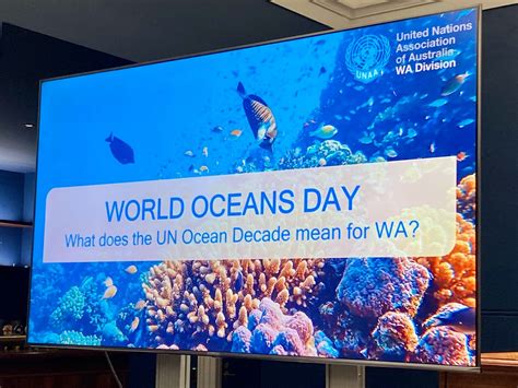 The Ocean Decade What Does It Mean For You Fremantle Shipping News