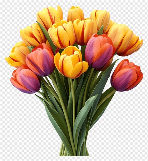 Colorful Tulip Bouquet Tulips Bouquet Png Pngwing