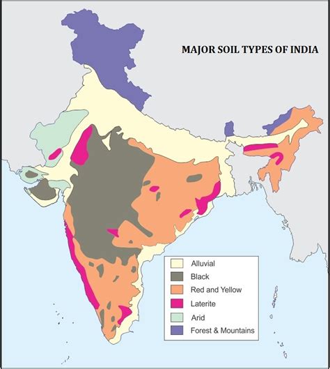 1mark The Major Soil Types In India In A Political Mapa