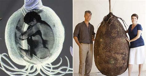 Organic Burial Pods Will Turn Your Loved One Into A Tree Main