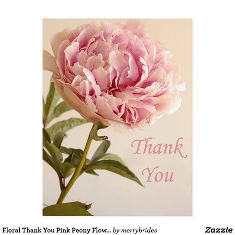 Floral Thank You Pink Peony Flower Postcard Pink Peonies