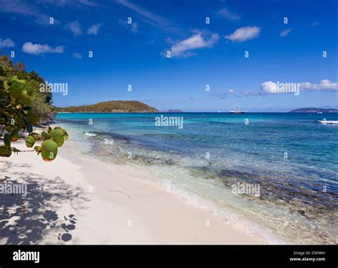 Paradise Beach Hawksnest Bay In St John Hi Res Stock Photography And