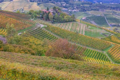 Piemonte Vineyards Barolo Langhe Alba Italy Stock Image Image Of