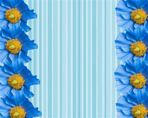 Blue Flower Borders and Frames Desktop Background (1600 x 1280 ...