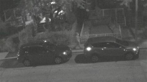 police looking for man after woman allegedly sexually assaulted in her west end home cbc news