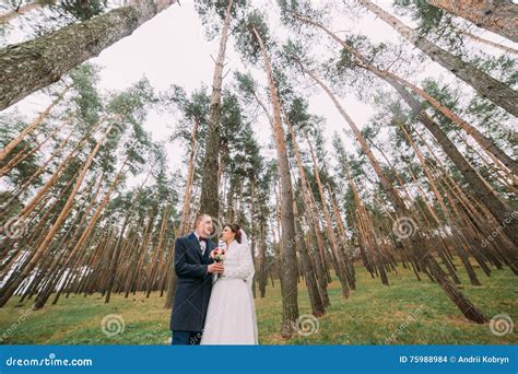Happy Stylish Newlywed Couple Posing In The Young Pine Forest With High