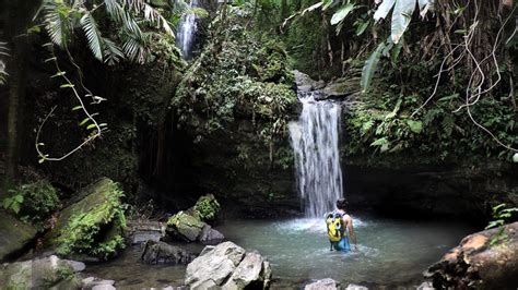Off The Beaten Path Tour At El Yunque Rainforest And Kayak Bio Bay