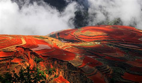 Dongchuan Red Land Colorful Yunnan