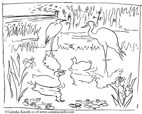 Luxury Coloring Pages Of Animals In Their Habitats Top