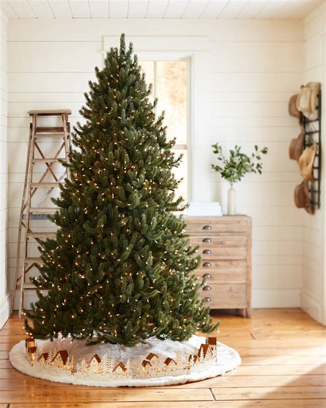 Vermont White Spruce® Tree Balsam Hill