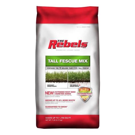 The Rebels 7 Lb Tall Fescue Grass Seed Mix 100081770 The Home Depot