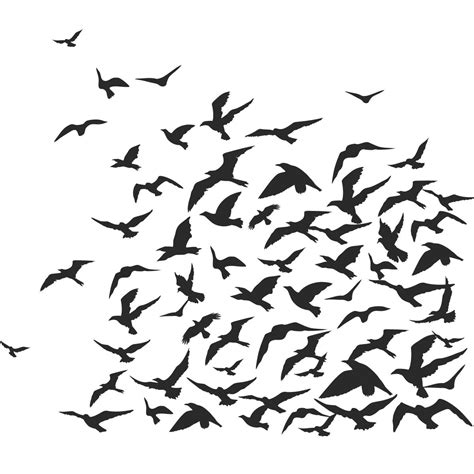 Flock Of Birds Flying Drawing