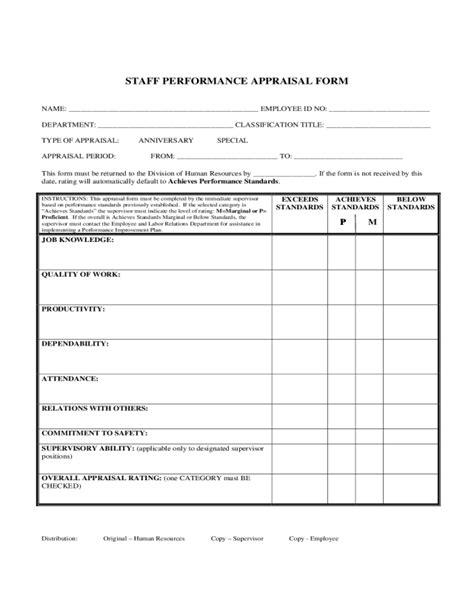 Performance Appraisal Form 2021 Printable Forms