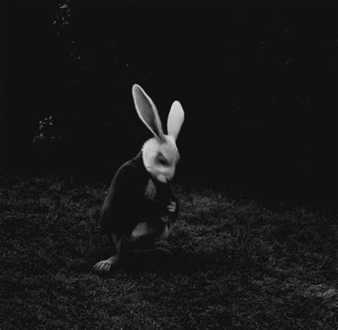 As explained on the /r/reactiongif's wiki page, a reaction gif is a physical or emotional response that is captured in a.gif which you can link in response to someone or something on the internet. 25 Watch Animated Gif Pics - Best Animations