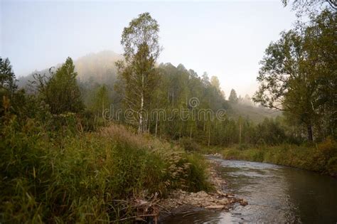 Early Morning On A Mountain River Yarovka In Western Siberia Stock