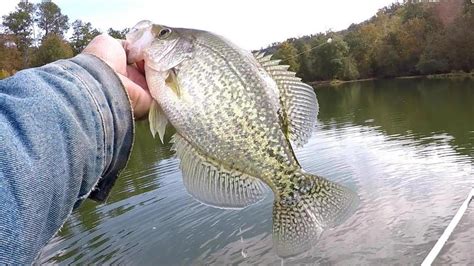 How To Locate And Catch Crappie In The Fall Youtube