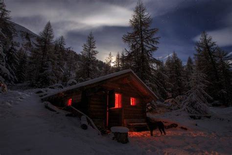 Photography Landscape Nature Winter Cabin Snow Moonlight Dog Forest Mountains Pine