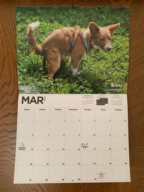 The Pooping Dogs Calendar Is Back Again For The Year 2022