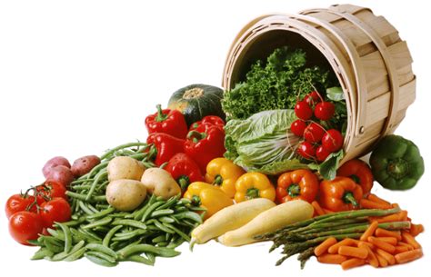 Cns Elite Group Fresh Vegetables And Fruits Wholesale