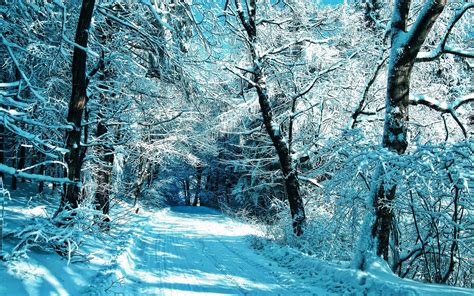 Download Wallpapers Winter Snowy Road Forest Snowdrifts Blue Snow